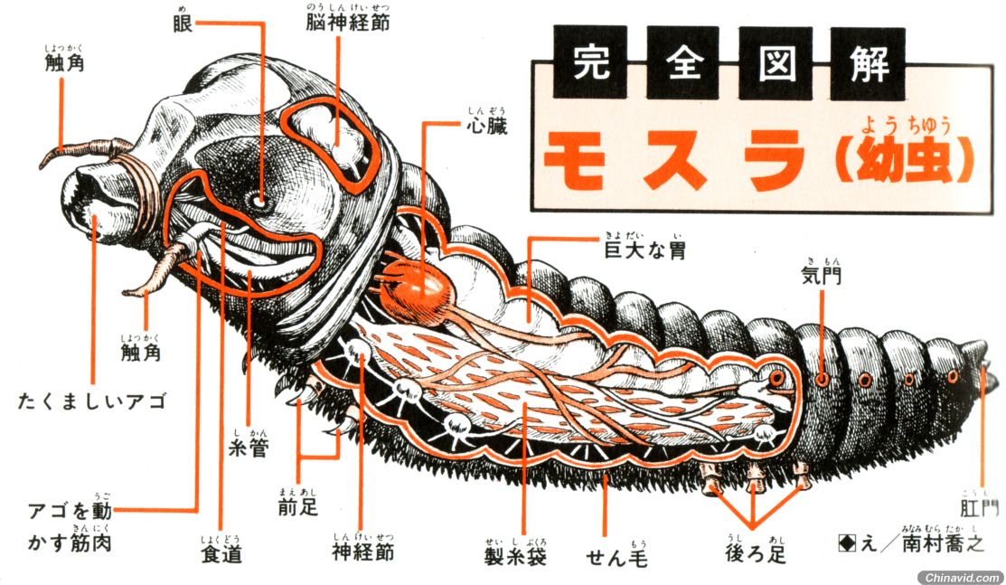 日本漫画怪兽哥斯拉解剖图一览