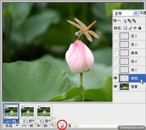 Photoshop制作蜻蜓戏荷花动画